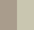 Sandtone Overlay Desert Tan Base